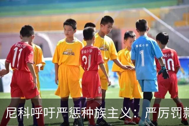 尼科呼吁严惩种族主义：严厉罚款+追究刑责+精准识别